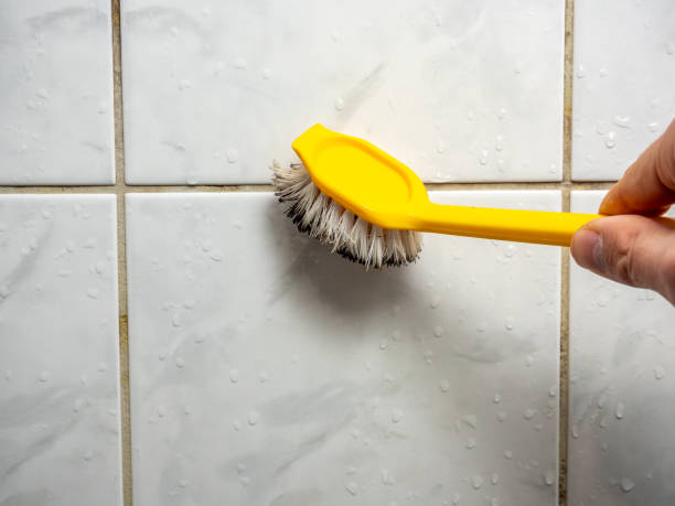 Best Local Mold Removal Service  in Chesterfield, IN
