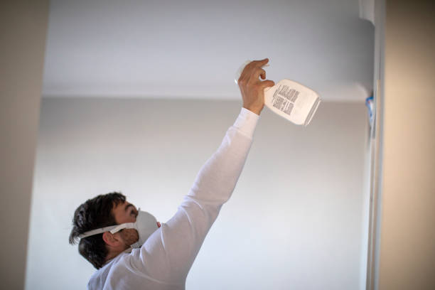 Best Home Mold Removal  in Chesterfield, IN
