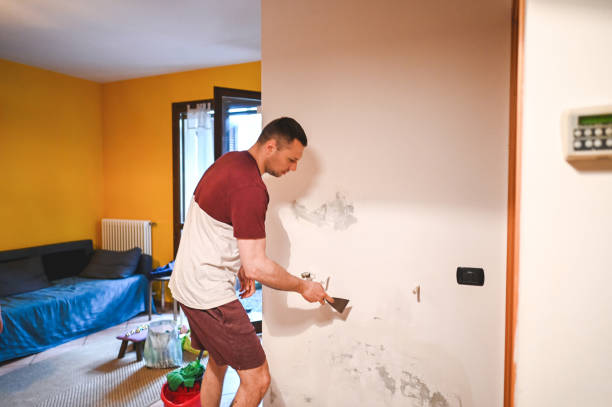 Best Certified Mold Removal  in Chesterfield, IN